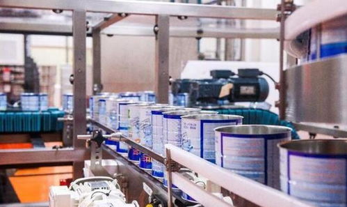 雙十一嬰幼兒 成人奶粉選購指南 誰是假洋品牌,哪些產品值得買